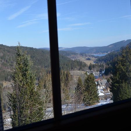Ferienwohnung Seeblick Nr 4 2-Zimmer, Baerental, Feldberg Rotwasser Экстерьер фото